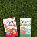 체리주머니 | 여름 주머니 필수템!! 휴대성 최고 포켓몬 콤부차 담터 타트체리, 청매실 맛 솔직 후기