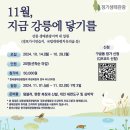 [정기생태관광] 참가자 모집_11월, 지금 강릉에 닿기를🪷