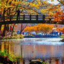 Colors of Korea