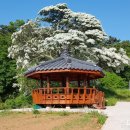 섬마을민박 이미지