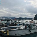 (주)포유리조트 이미지