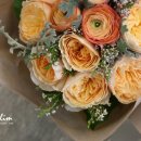 더 올림(The Ollim) 이미지