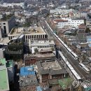 헌제가 가처분효력 정지신청을 인용 이미지