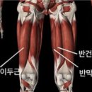 스탠바이짐 이미지