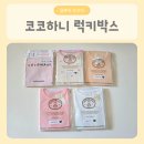 럭키사 | 코코하니 실내복 럭키박스 후기