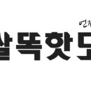 쌀똑 이미지