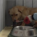 진범축사 이미지