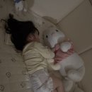 에코쿨잠 이미지