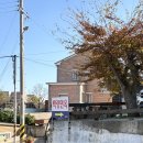 백련대로 297 | 백령도 여행 중 들린 백련면옥 물냉 비냉 반반냉면 솔직후기