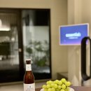 스테이더담 가곡 이미지