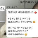 파주 사진관 돌사진 스튜디오 추천 ㅣ히얼스튜디오 추천 (주차 ,가격,구성,옵션)