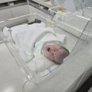 11545-11-11-30 | 금천구 VIP 산후조리원 일반실 후기 비용 외출 식사 정보