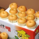 사진촬영 네이버블로그