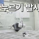 뽑기뽑기방 이미지