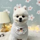 그루멍(groomung) 이미지