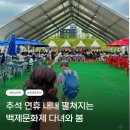 제64회 전국학생음악경연대회 | 공주백제문화제 일정 주차 먹거리 미르섬 입장료 애견동반 후기