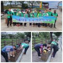 영신마을 이미지