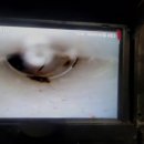 일등설비 이미지