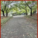 강아지를 미용하는 여자 | 정발산애견미용 강아지도 편안하게 강아지를 미용하는 여자 후기