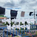 은희네민박