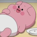 허니문2 이미지