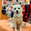 미용하고 가개 이미지