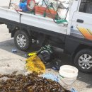 삼거리펜션민박 이미지