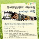일반인우쿨렐레 이미지