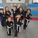 태극타이거합기도 이미지