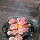 프린세스펜션 티스토리