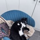 네일블레