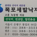 목포세발낙지 이미지