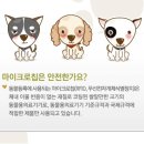 로하동물병원