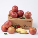 달콤한 사과이야기 이미지