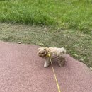 바비펫살롱 이미지