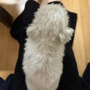 11590-마48-2 | 2월 일상기록(2) | 카페 물, 리베흐, 평형, 카페마, 에토라, 하흘, 시노라 연희