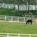 오세요목장 이미지