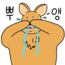 쇼킹마사지 이미지