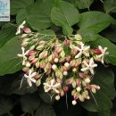 도경상사 이미지