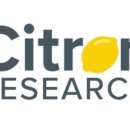 시트론(Citron) 이미지
