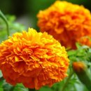 성진부동산중개사무소 이미지