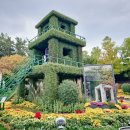 한국트로트가요센터 공연장 | 2025 영암 월출산 국화축제 일정 기본정보