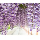 합도초교 이미지