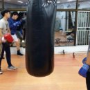 강성주 복싱클럽 이미지