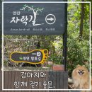 안산자락길 숲속카페 | 강아지와 함께 안산 자락길 독립문 코스, 북 카페 쉼터 / 전망대