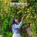 GS25(진해제일점) | 창원 가볼만한곳 진해보타닉뮤지엄 창원 데이트