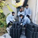 엄지태권도 서울매일