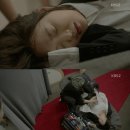 복대주은 이미지