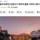 11월 17일: 종영한 두 드라마 (정숙한 세일즈, 정년이). 압구정 친구 동생의 세비야 투어 추천. 올라...