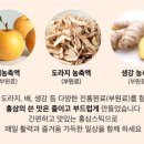 종근당 건강헬스벨스토리 부산정관점